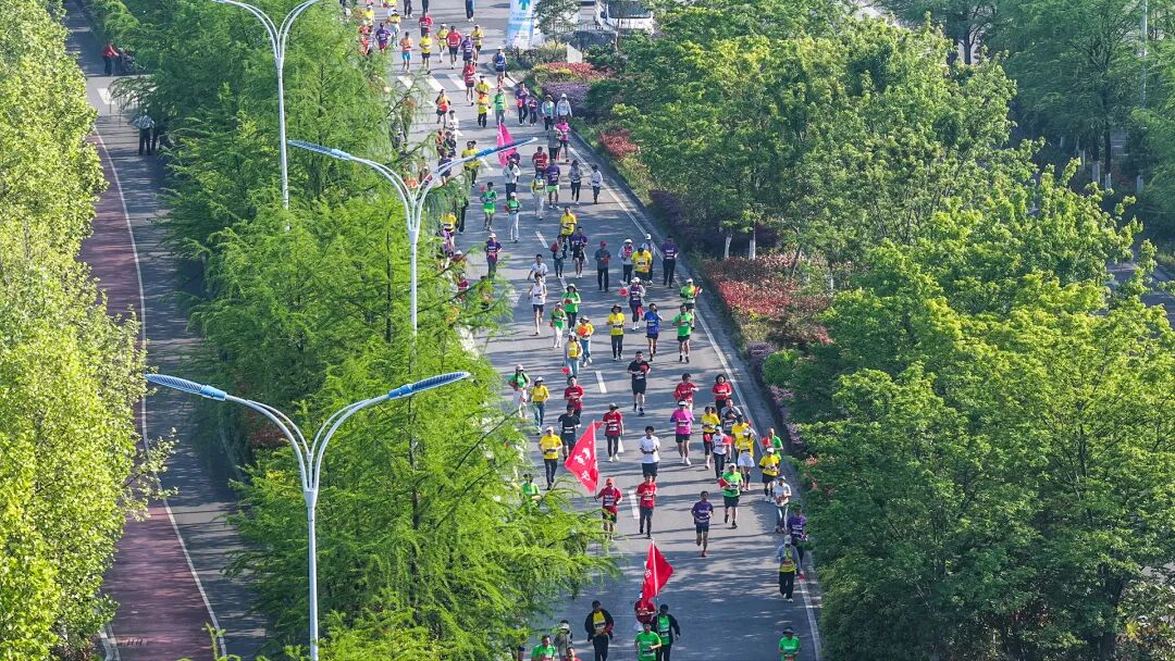 徒步九华圣境 畅游灵秀青阳——九华黄精2026池州青阳徒步大会圆满收官