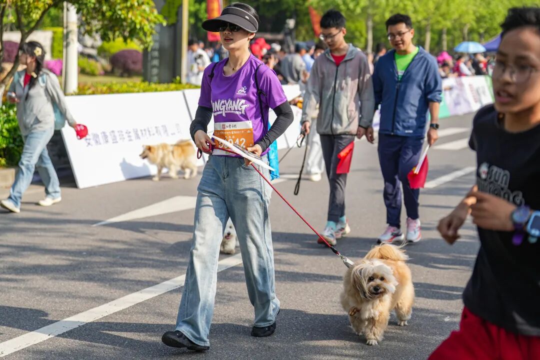 徒步九华圣境 畅游灵秀青阳——九华黄精2026池州青阳徒步大会圆满收官