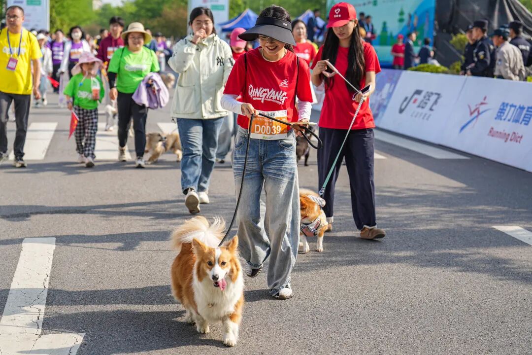 徒步九华圣境 畅游灵秀青阳——九华黄精2026池州青阳徒步大会圆满收官