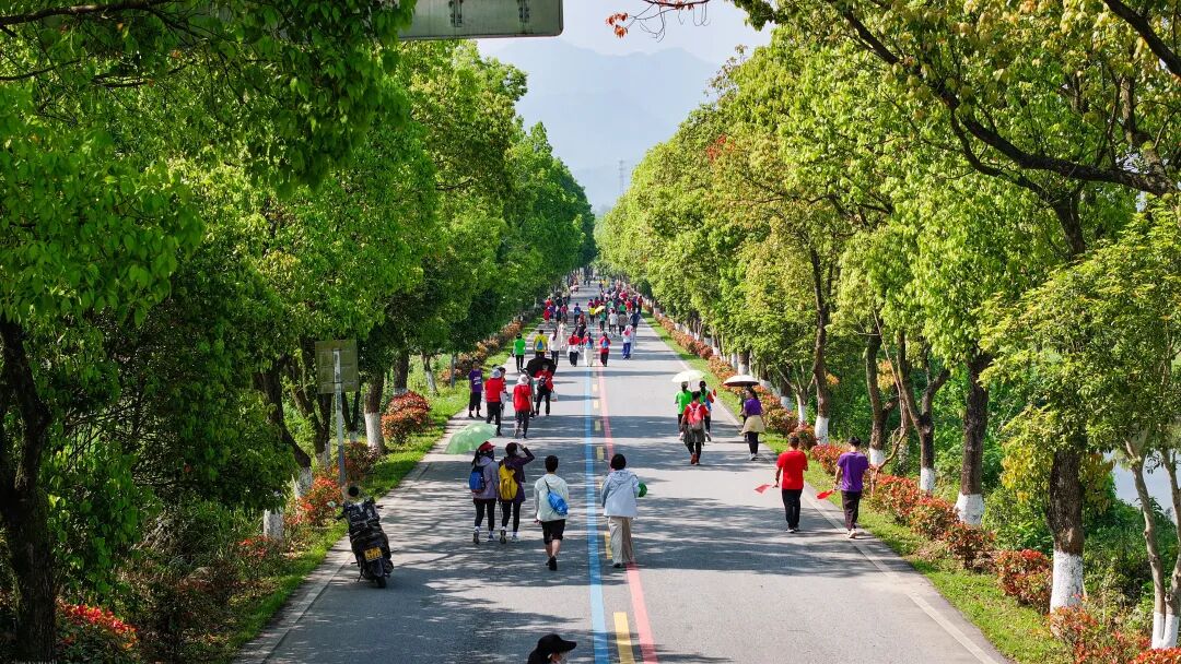 徒步九华圣境 畅游灵秀青阳——九华黄精2026池州青阳徒步大会圆满收官