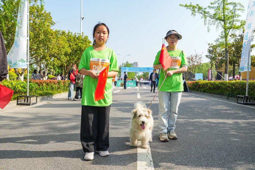 徒步九华圣境 畅游灵秀青阳——九华黄精2026池州青阳徒步大会圆满收官