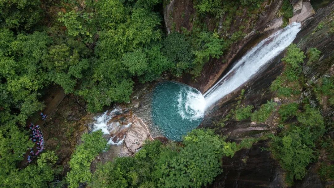 徒步九华圣境 畅游灵秀青阳——九华黄精2026池州青阳徒步大会圆满收官