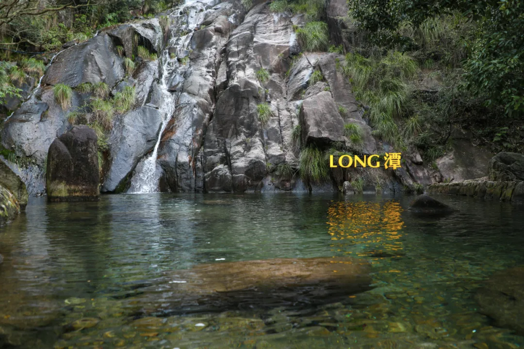 徒步九华圣境 畅游灵秀青阳——九华黄精2026池州青阳徒步大会圆满收官