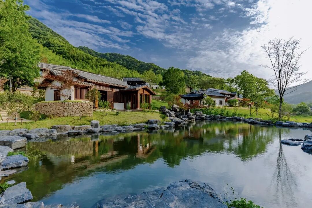 徒步九华圣境 畅游灵秀青阳——九华黄精2026池州青阳徒步大会圆满收官