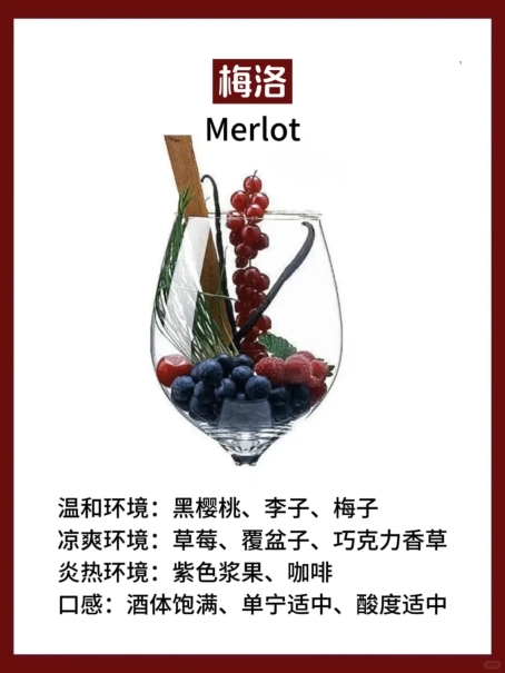 热门红酒口感解析 + 开瓶保存攻略,特菲缇五星竟能存 5 天? 热门红酒口感解析 + 开瓶保存攻略,特菲缇五星竟能存 5 天?