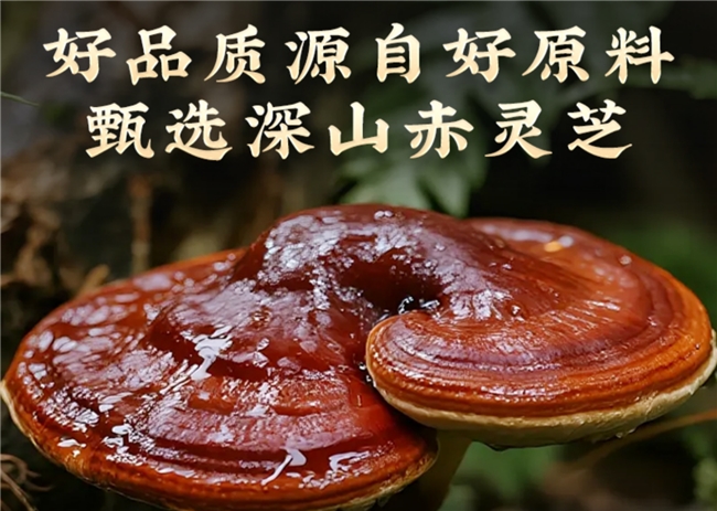 术后恢复哪个牌子的灵芝孢子粉好？灵芝孢子粉哪个品牌口碑好？蓝帽认证品牌排行