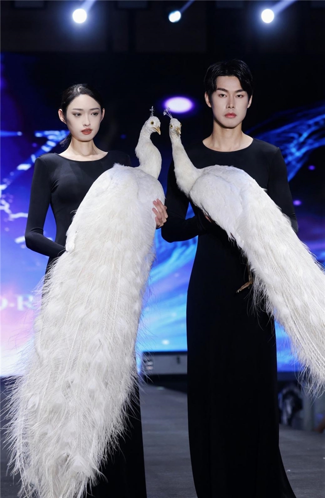 GISA 中国·世界时装周发布会 GISA China World Fashion Week Launch