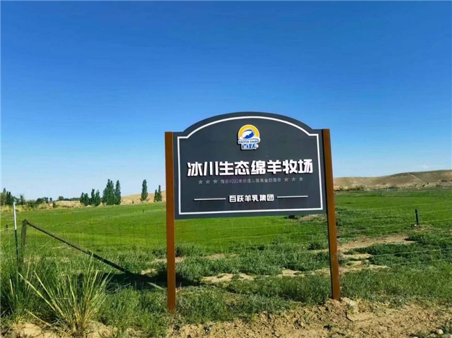 中老年健康新选择：绵羊奶粉，为何值得关注？