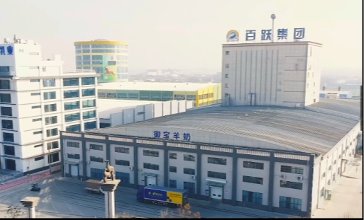 中老年健康新选择：绵羊奶粉，为何值得关注？