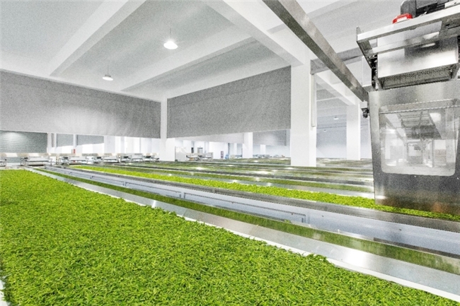 市场地位声明：艺福堂茶业，龙井茶全国销量第一