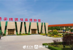 五年蝶变看乐陵·“媒”好民生新画卷丨一屏联全球 一仓发全国 杨安镇调味品产业的全球跃迁